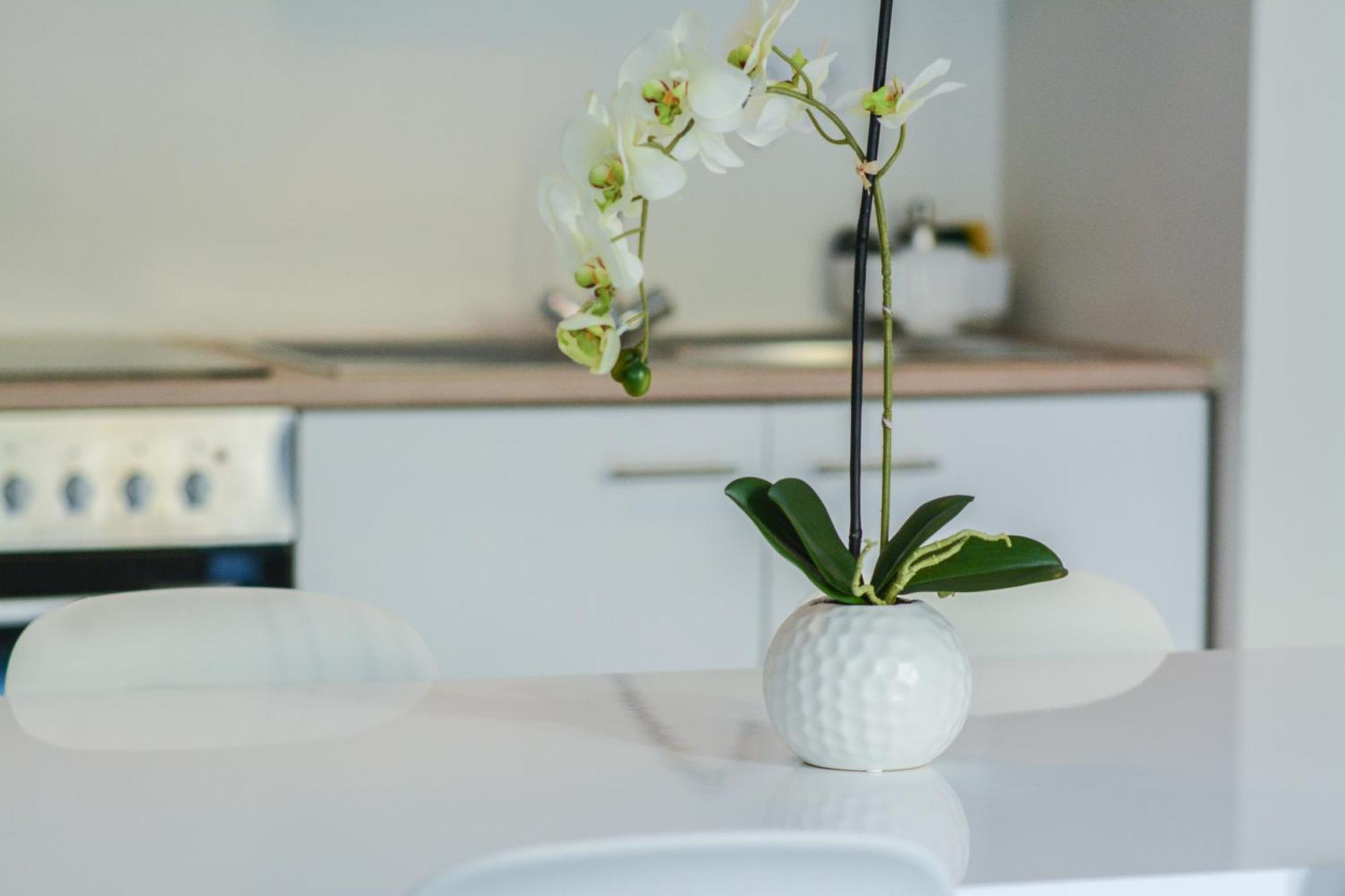 Apartment Il Mare 3 Luxembourg